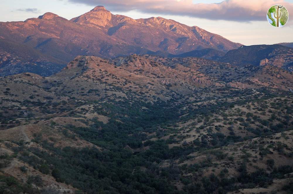 Santa Rita Mountains