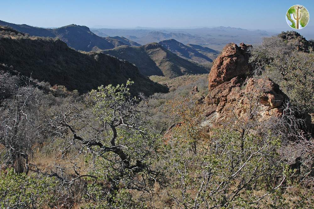 Sierra El Humo looking down north facing canyon