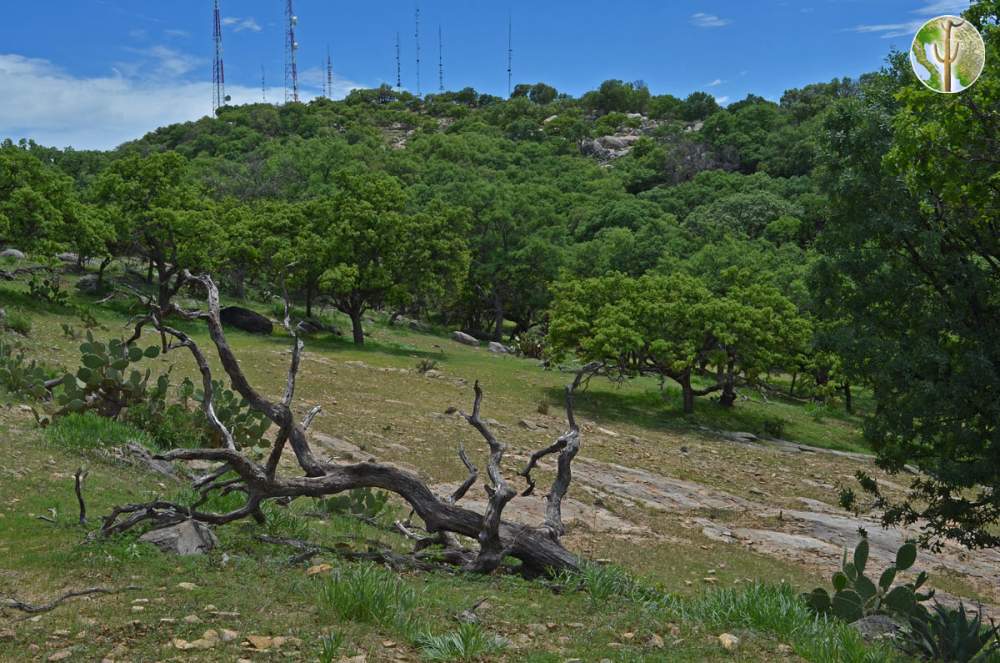 Sierra Mazatán Sierra Mazatán