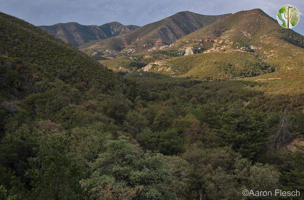 Sierra San Luis