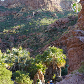 Cañón de las Barajitas scenery