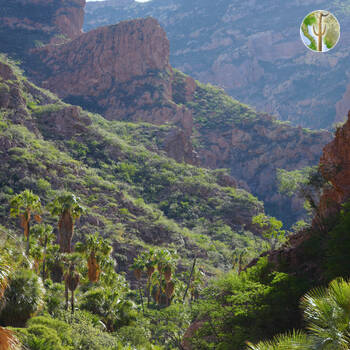 Cañón de las Barajitas scenery