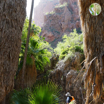 Cañón de las Barajitas scenery