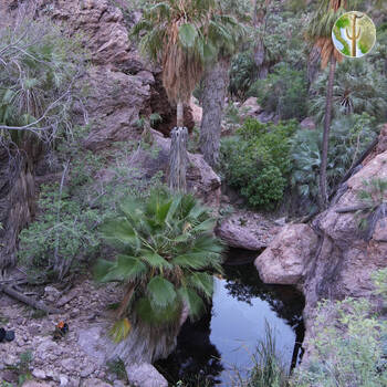 Cañón de las Barajitas scenery