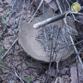 Cañón de las Barajitas, bottom to a native American pot