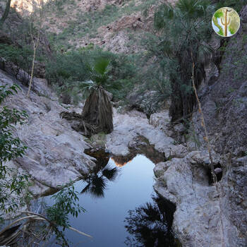 Cañón de las Barajitas scenery