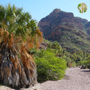 Cañón de las Barajitas scenery