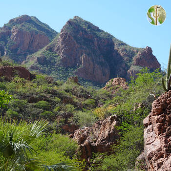 Cañón de las Barajitas scenery