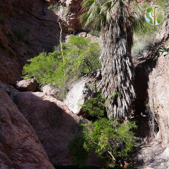 Cañón de las Barajitas scenery
