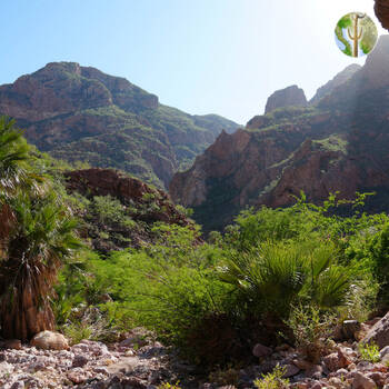 Cañón de las Barajitas scenery