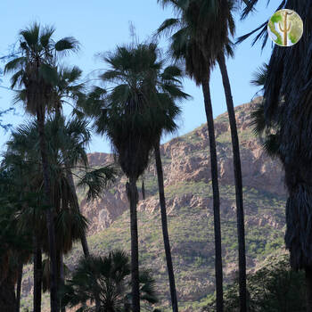 Cañón de las Barajitas scenery