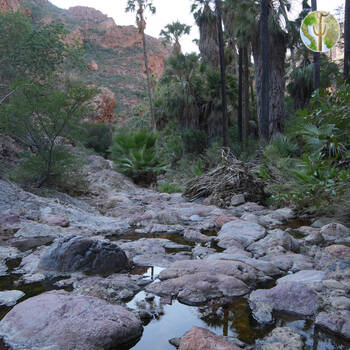 Cañón de las Barajitas scenery