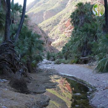 Cañón de las Barajitas scenery