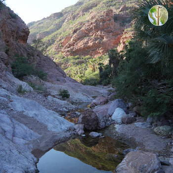Cañón de las Barajitas scenery