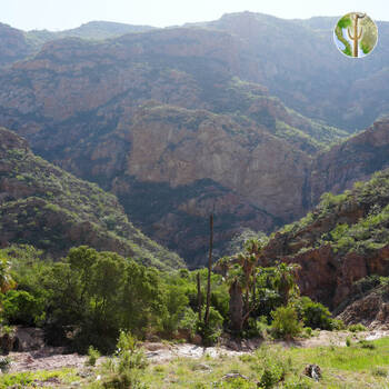 Cañón de las Barajitas scenery