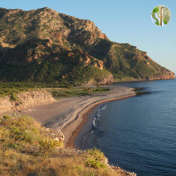 Cañón de las Barajitas, shoreline