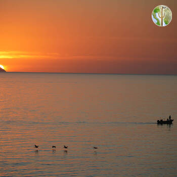 Cañón de las Barajitas, shoreline sunset
