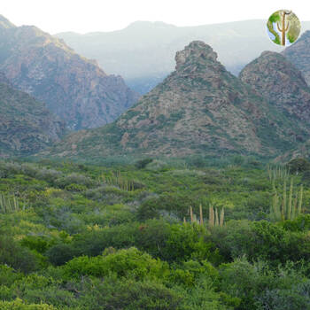 Cañón de las Barajitas scenery
