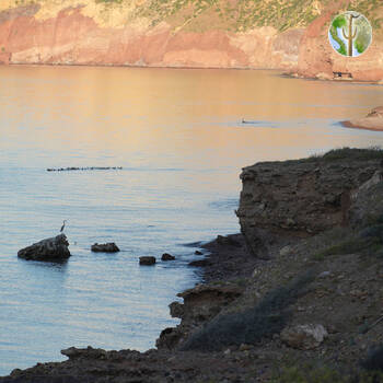 Cañón de las Barajitas, coastline scenery with birds