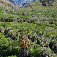 Cañón de las Barajitas scenery